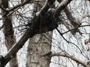 IMG_3568