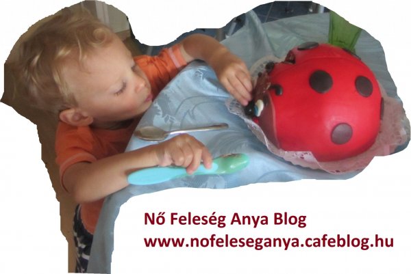 Mate_tortaval_vízjeles