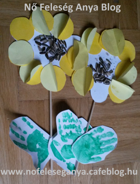 napraforgok_vizjeles